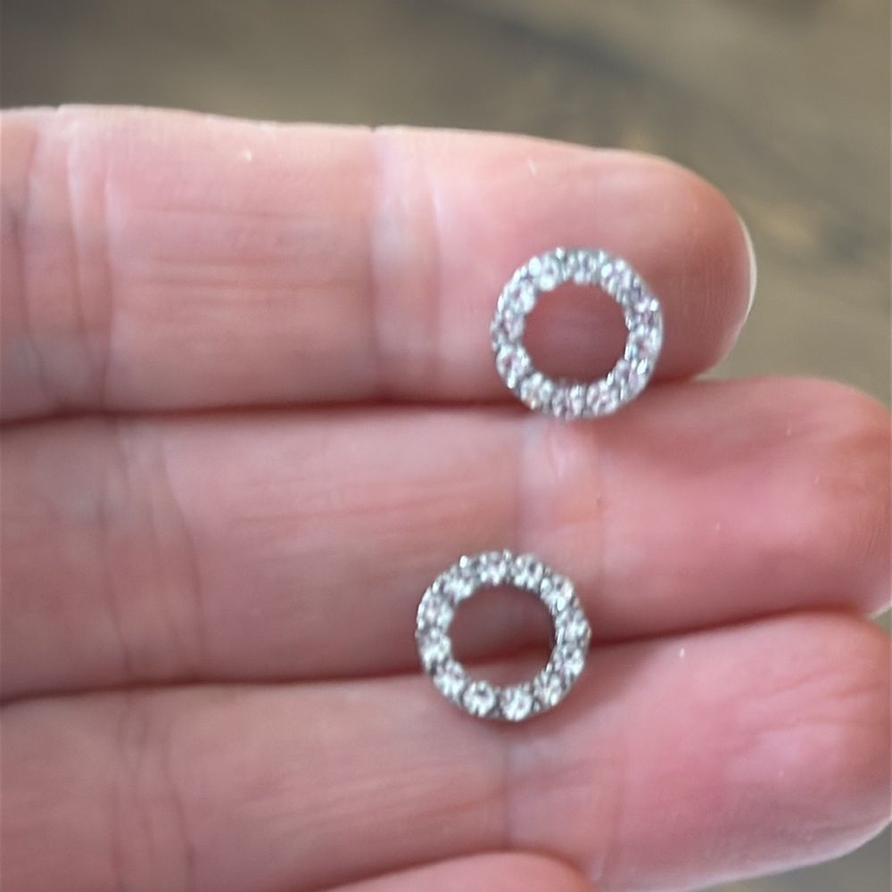 Crystal Eternity Circle of Life Halo Stud Earrings in Silver Tone